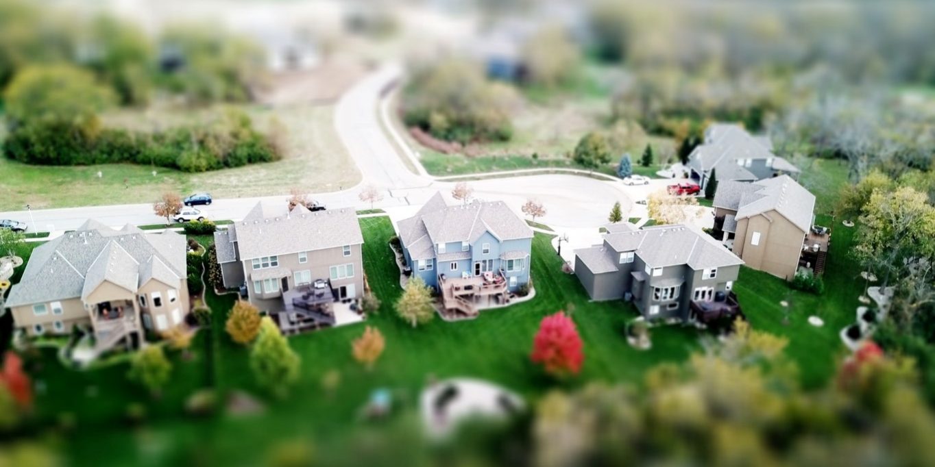 pexels-david-mcbee-667221 (Medium)